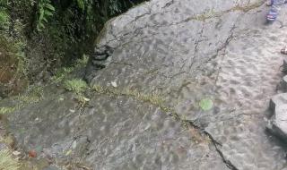 我生在一个小山村 我生在一个小山村